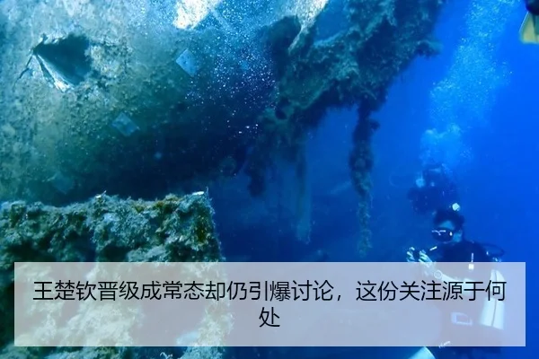 王楚钦晋级成常态却仍引爆讨论，这份关注源于何处